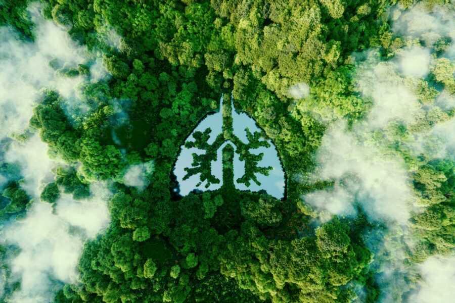 A metaphorical picture of the lungs of planet earth. An icon in the form of a lung-shaped pond in the middle of a wild, pristine and untouched forest. 3d rendering.